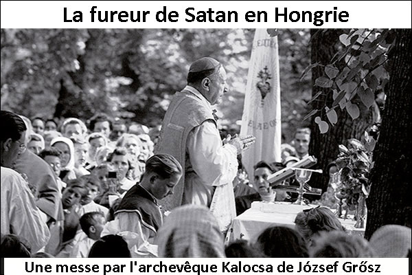Fideliter n° 232