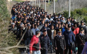 invasion-migratoire
